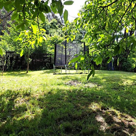 Casa De Vacanta Zsenik Vendeghaz Sovata Exteriör bild