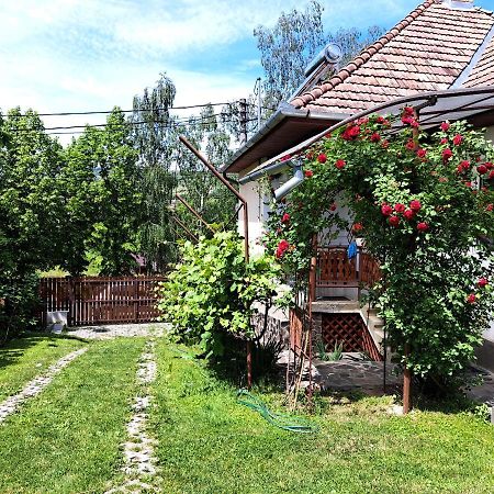 Casa De Vacanta Zsenik Vendeghaz Sovata Exteriör bild