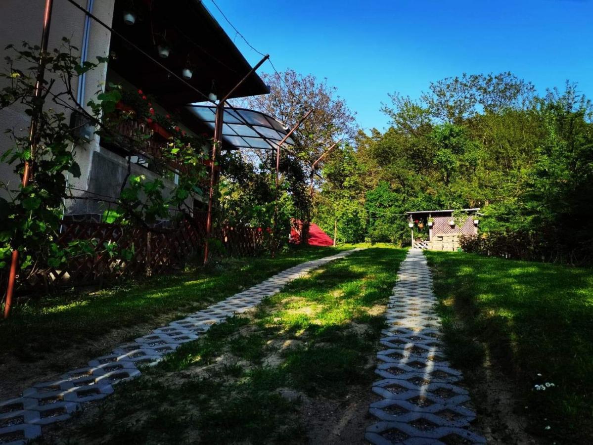 Casa De Vacanta Zsenik Vendeghaz Sovata Exteriör bild