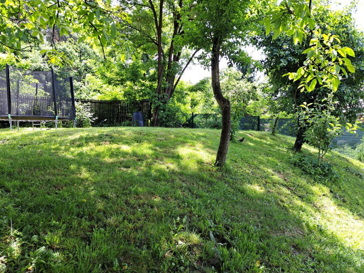 Casa De Vacanta Zsenik Vendeghaz Sovata Exteriör bild