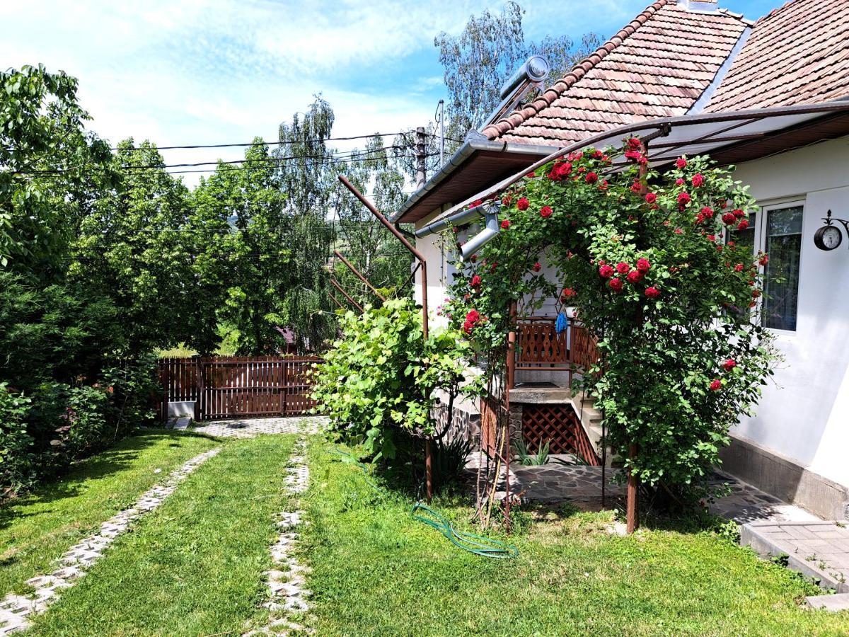 Casa De Vacanta Zsenik Vendeghaz Sovata Exteriör bild